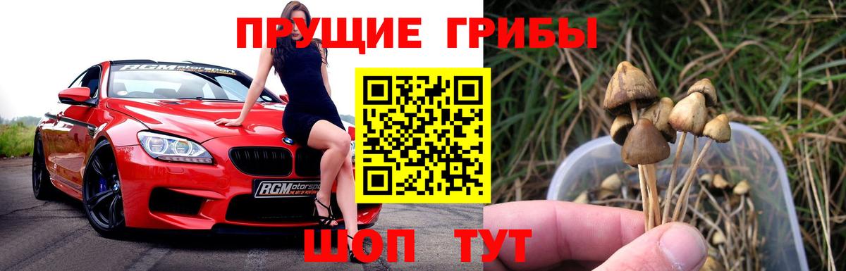 Златоуст  Псилоцибиновые грибы GOLDEN TEACHER  Вход с VPN 